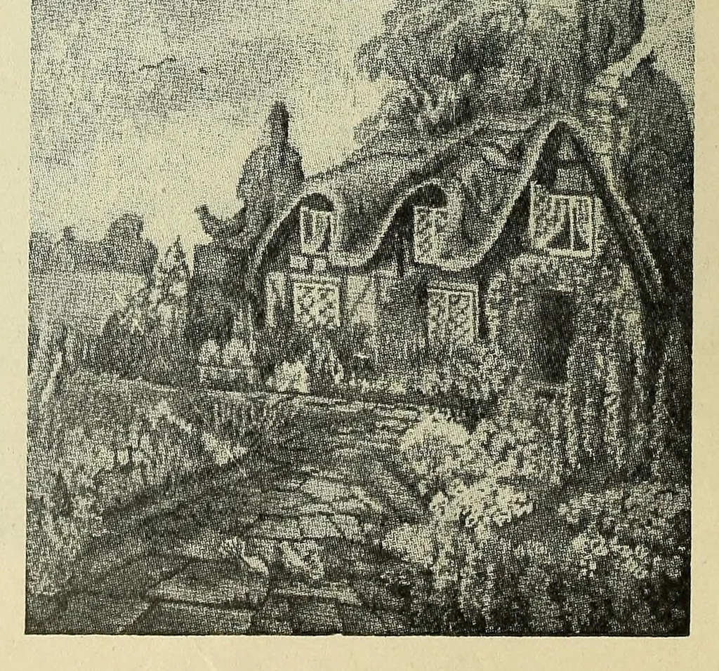 An illustration from Weldons flower embroidery, 1900, leaf 10