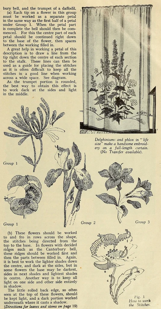 An illustration from Weldons flower embroidery, 1900, leaf 15