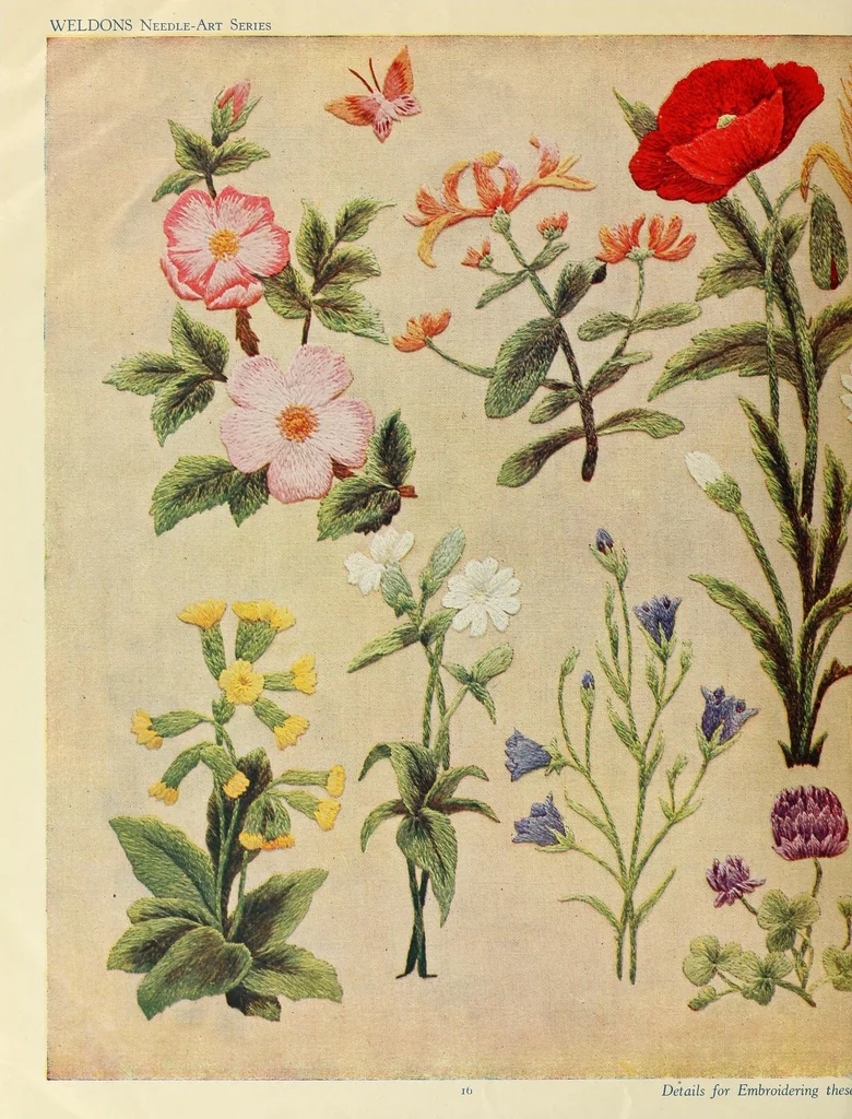 An illustration from Weldons flower embroidery, 1900, leaf 20