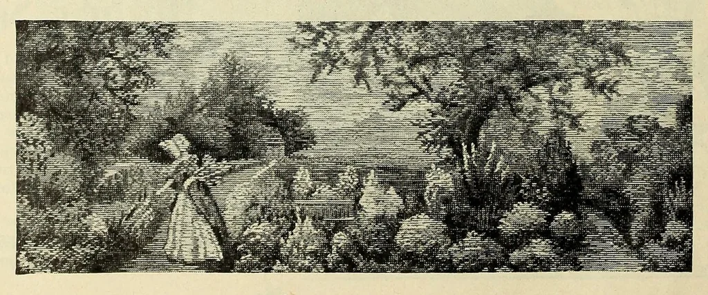 An illustration from Weldons flower embroidery, 1900, leaf 30