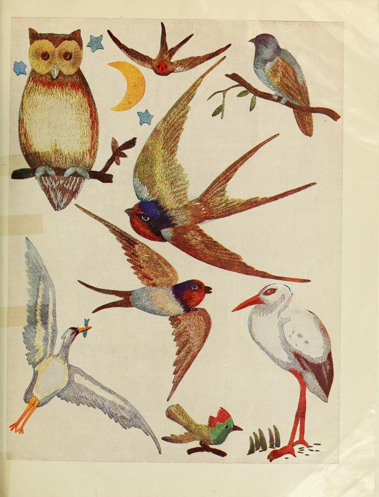 An illustration from Weldons flower embroidery, 1900, leaf 37