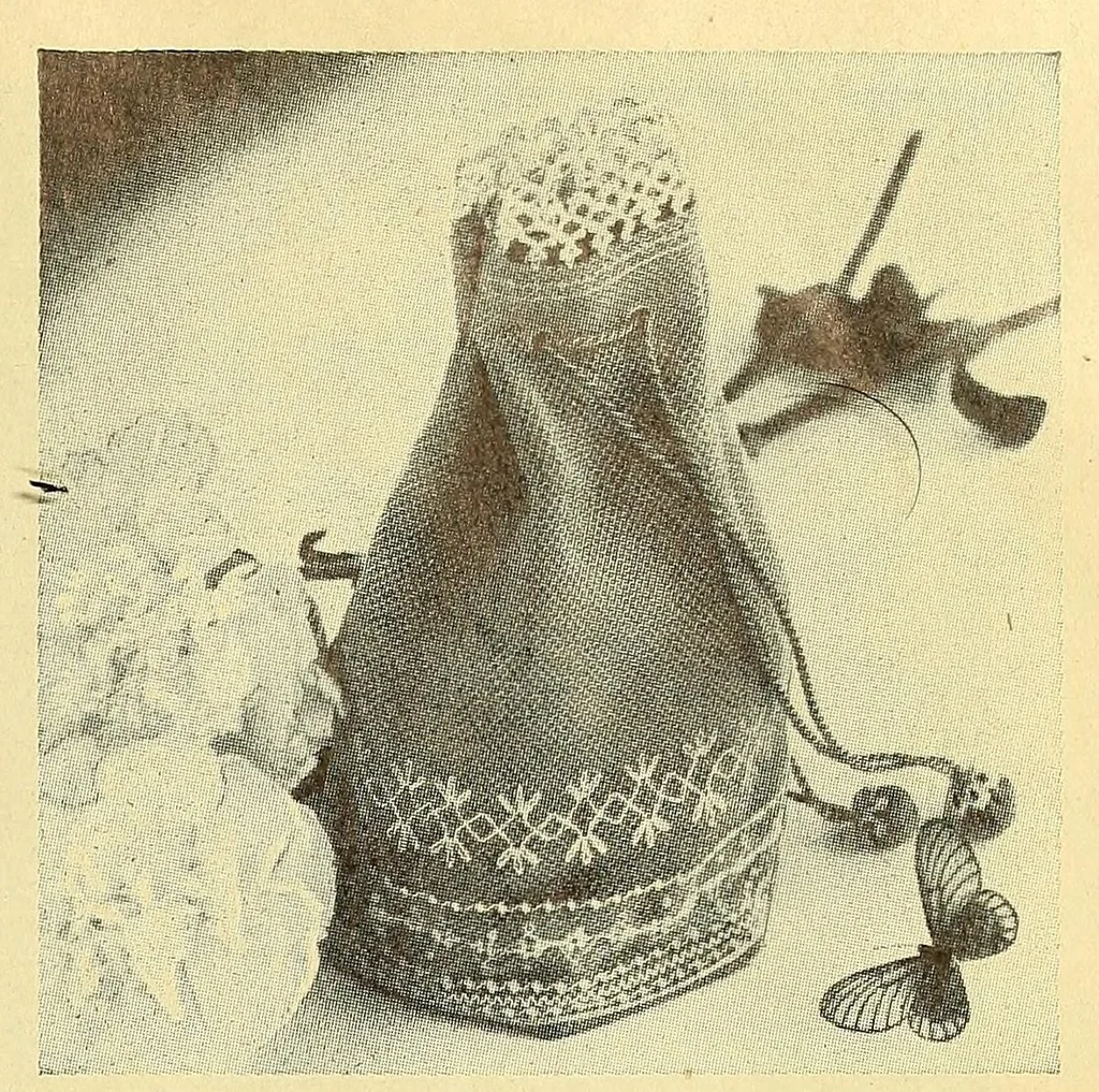 An illustration from Weldons needlework old & new, 1900, leaf 31