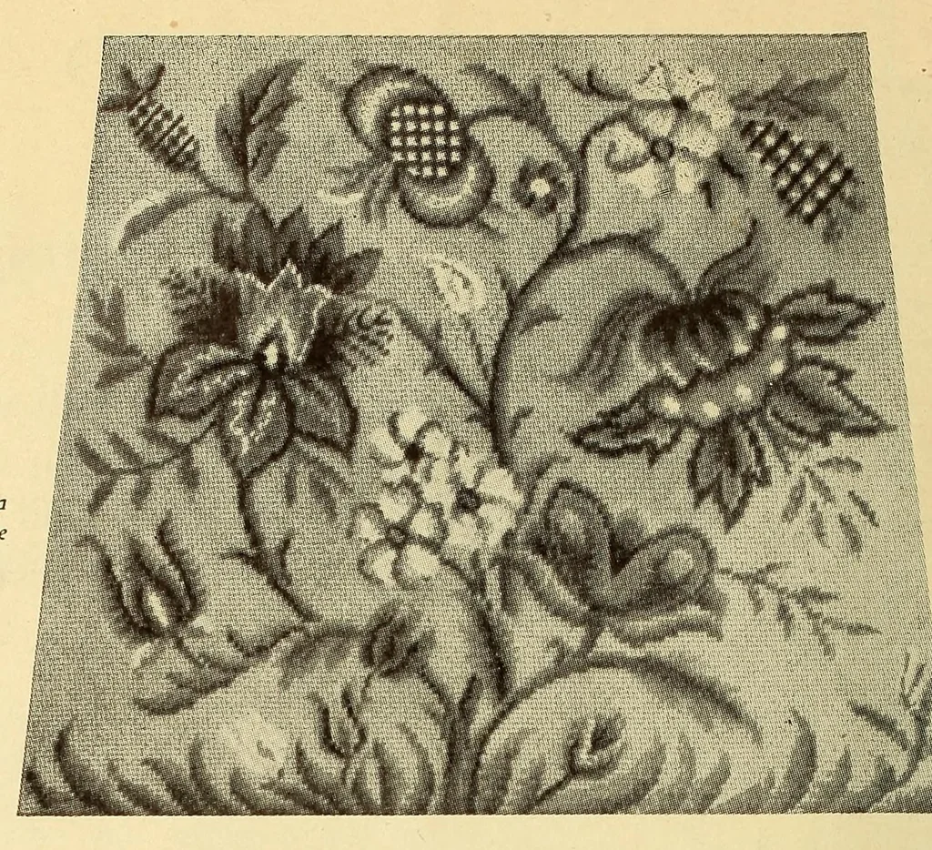 An illustration from Weldons needlework old & new, 1900, leaf 8
