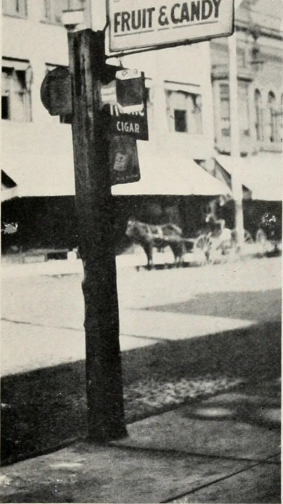 An illustration from The wellbeing of Waterloo : a report to the Civic Society of Waterloo, Iowa, 1910, leaf 10