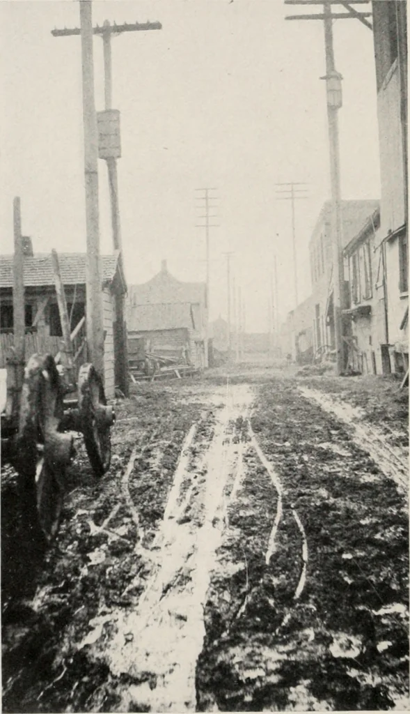 An illustration from The wellbeing of Waterloo : a report to the Civic Society of Waterloo, Iowa, 1910, leaf 13