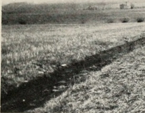 An illustration from The wellbeing of Waterloo : a report to the Civic Society of Waterloo, Iowa, 1910, leaf 36