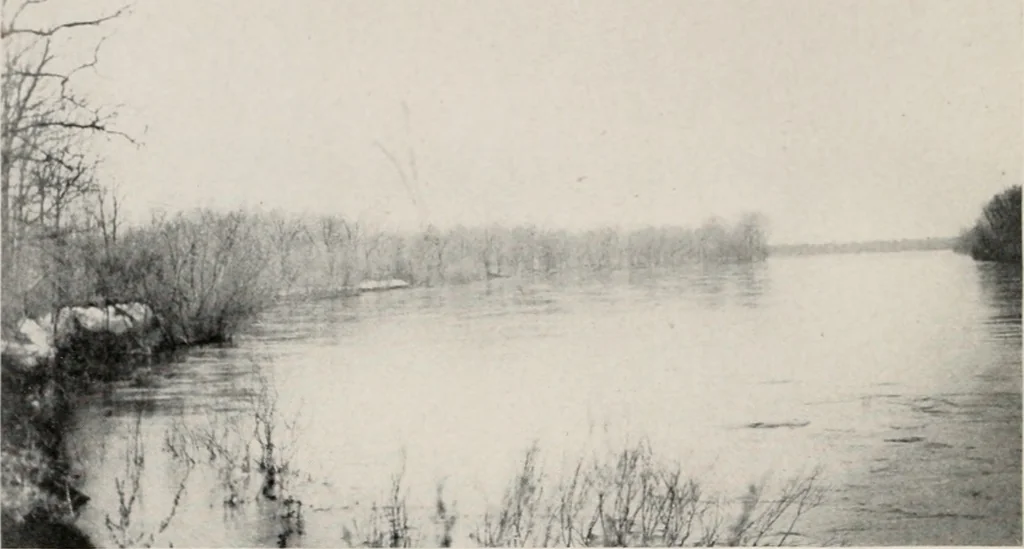 An illustration from The wellbeing of Waterloo : a report to the Civic Society of Waterloo, Iowa, 1910, leaf 37