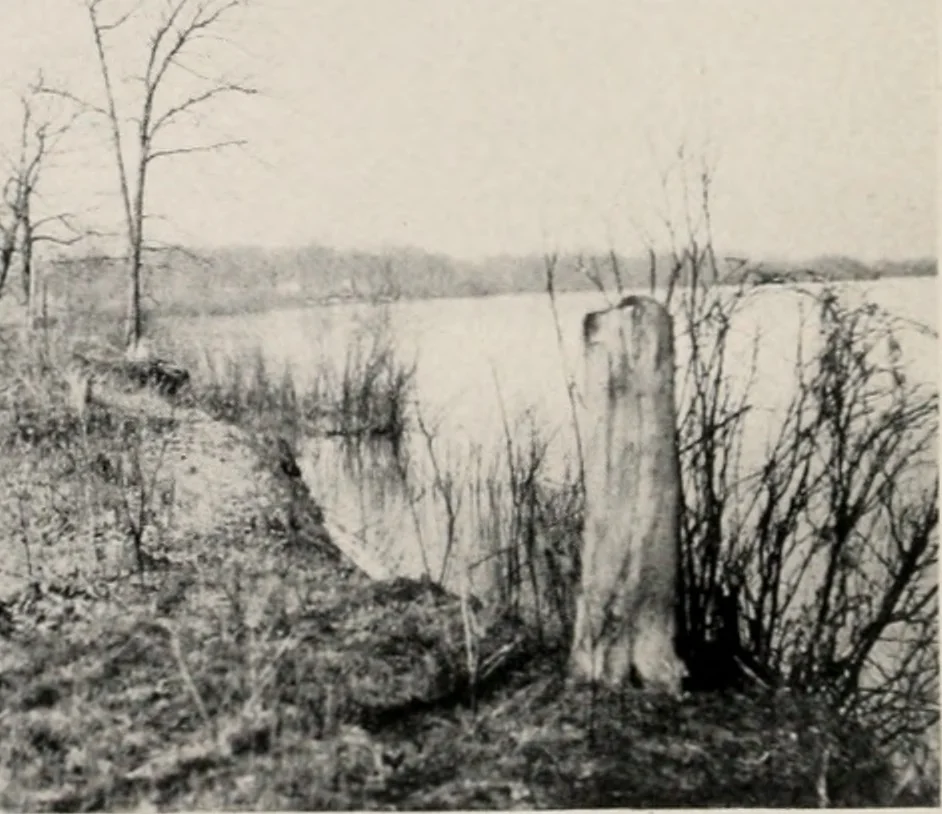 An illustration from The wellbeing of Waterloo : a report to the Civic Society of Waterloo, Iowa, 1910, leaf 37