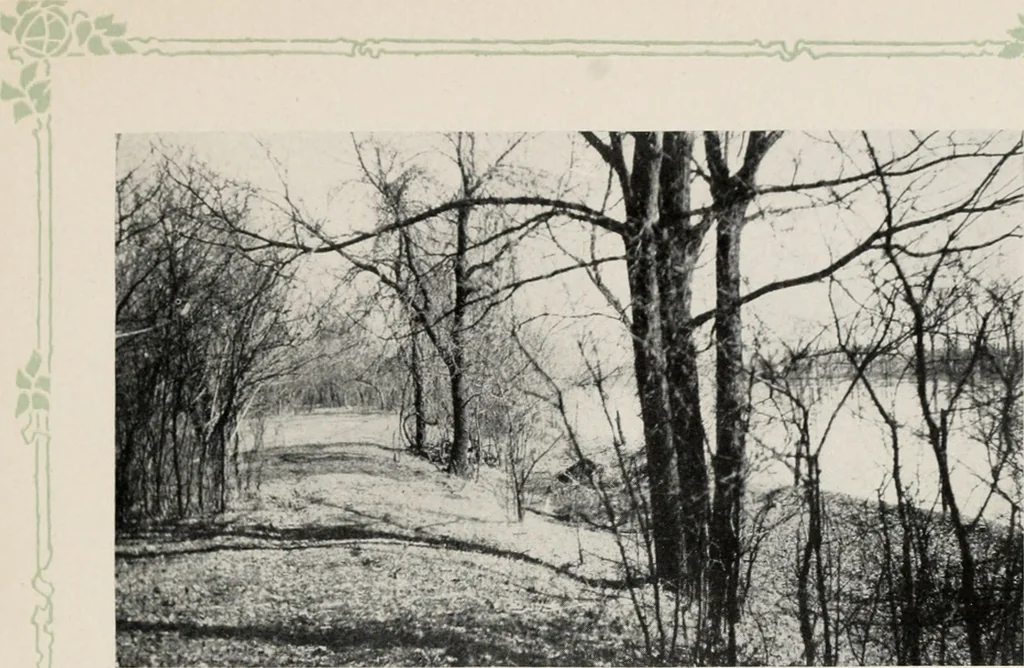 An illustration from The wellbeing of Waterloo : a report to the Civic Society of Waterloo, Iowa, 1910, leaf 38