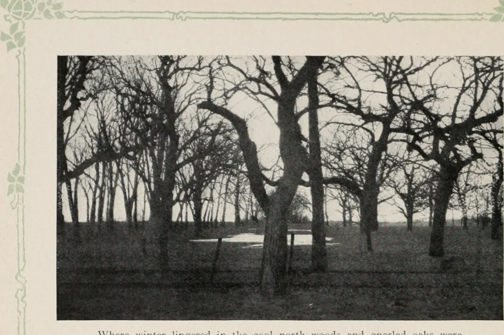 An illustration from The wellbeing of Waterloo : a report to the Civic Society of Waterloo, Iowa, 1910, leaf 39
