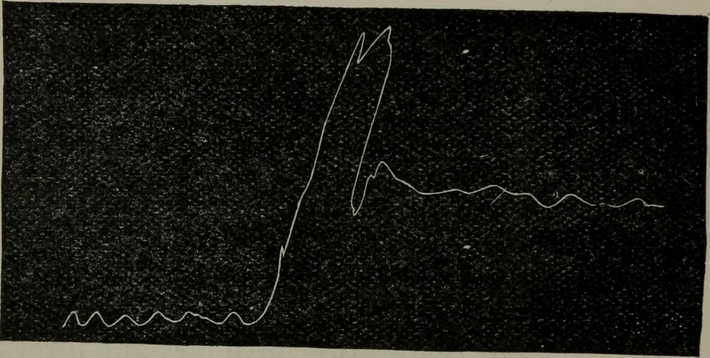 An illustration from The well-dressed woman: a study in the practical application to dress of the laws of health, art, and morals, 1893, leaf 105