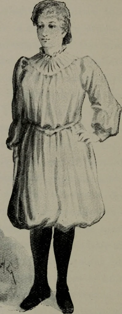 An illustration from The well-dressed woman: a study in the practical application to dress of the laws of health, art, and morals, 1893, leaf 173