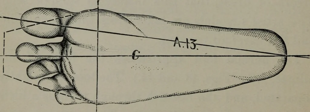 An illustration from The well-dressed woman: a study in the practical application to dress of the laws of health, art, and morals, 1893, leaf 187