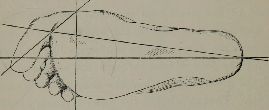 An illustration from The well-dressed woman: a study in the practical application to dress of the laws of health, art, and morals, 1893, leaf 189