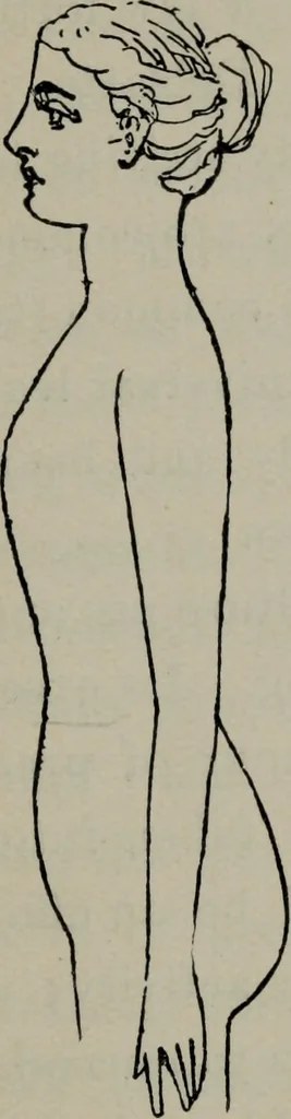 An illustration from The well-dressed woman: a study in the practical application to dress of the laws of health, art, and morals, 1893, leaf 216