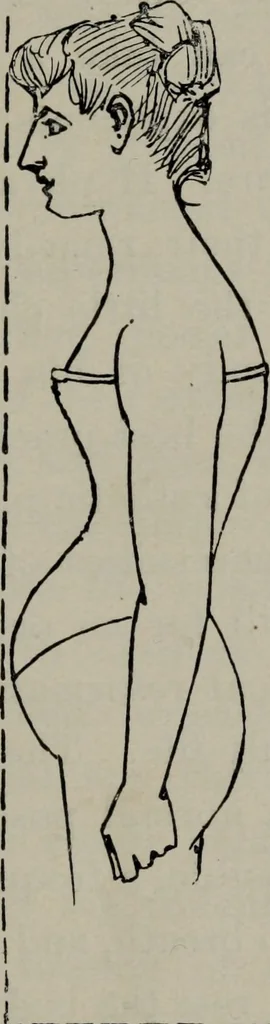 An illustration from The well-dressed woman: a study in the practical application to dress of the laws of health, art, and morals, 1893, leaf 216