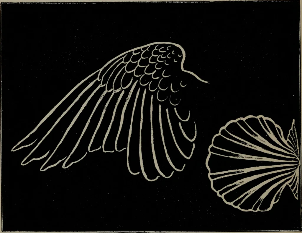 An illustration from The well-dressed woman: a study in the practical application to dress of the laws of health, art, and morals, 1893, leaf 267
