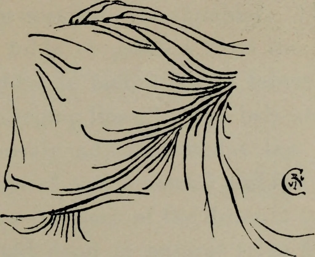An illustration from The well-dressed woman: a study in the practical application to dress of the laws of health, art, and morals, 1893, leaf 268
