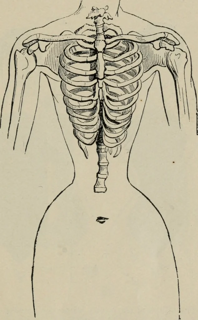 An illustration from The well-dressed woman: a study in the practical application to dress of the laws of health, art, and morals, 1893, leaf 48