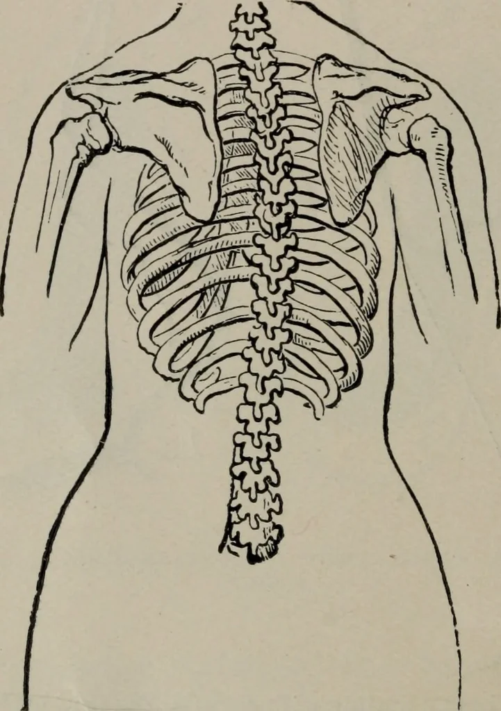 An illustration from The well-dressed woman: a study in the practical application to dress of the laws of health, art, and morals, 1893, leaf 53