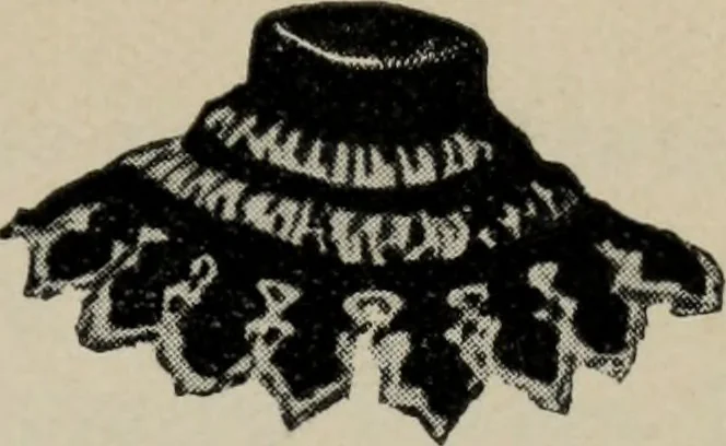 An illustration from The well-dressed woman: a study in the practical application to dress of the laws of health, art, and morals, 1893, leaf 54