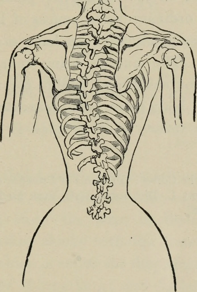 An illustration from The well-dressed woman: a study in the practical application to dress of the laws of health, art, and morals, 1893, leaf 56