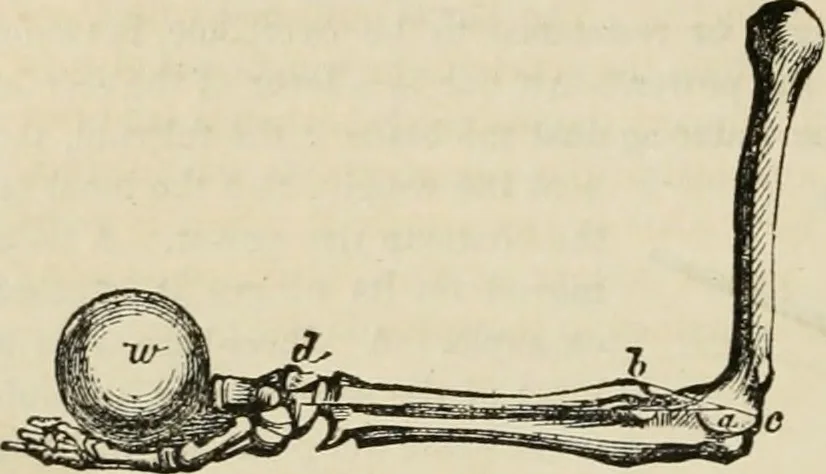 An illustration from Well's natural philosophy : for the use of schools, academies and privte students, introducing the latest results of scientific discovery and research ; arranged with special reference to the practical application of physical science to the arts and the experiences of everyday life ; with three hundred and seventy-five engravings, 1873, leaf 101