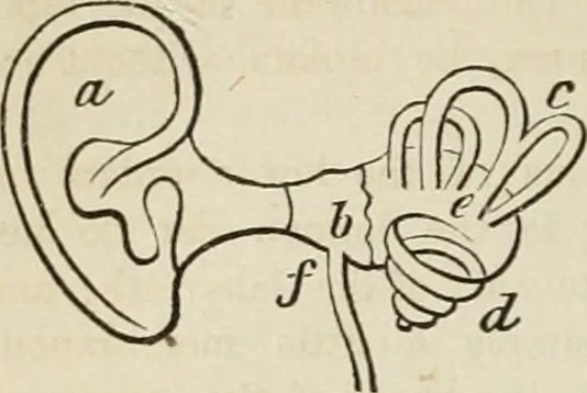 An illustration from Well's natural philosophy : for the use of schools, academies and privte students, introducing the latest results of scientific discovery and research ; arranged with special reference to the practical application of physical science to the arts and the experiences of everyday life ; with three hundred and seventy-five engravings, 1873, leaf 207