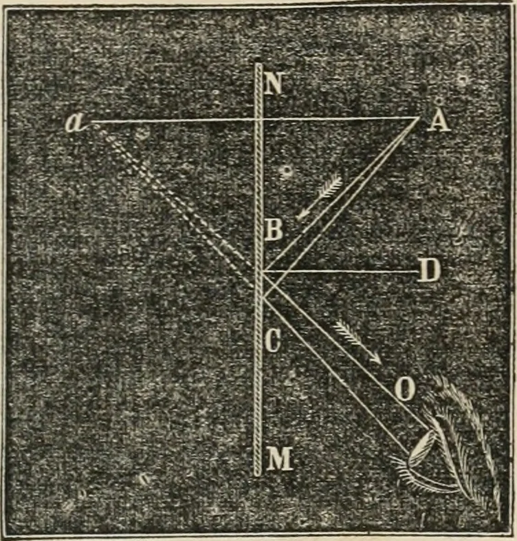 An illustration from Well's natural philosophy : for the use of schools, academies and privte students, introducing the latest results of scientific discovery and research ; arranged with special reference to the practical application of physical science to the arts and the experiences of everyday life ; with three hundred and seventy-five engravings, 1873, leaf 310
