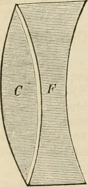 An illustration from Well's natural philosophy : for the use of schools, academies and privte students, introducing the latest results of scientific discovery and research ; arranged with special reference to the practical application of physical science to the arts and the experiences of everyday life ; with three hundred and seventy-five engravings, 1873, leaf 333