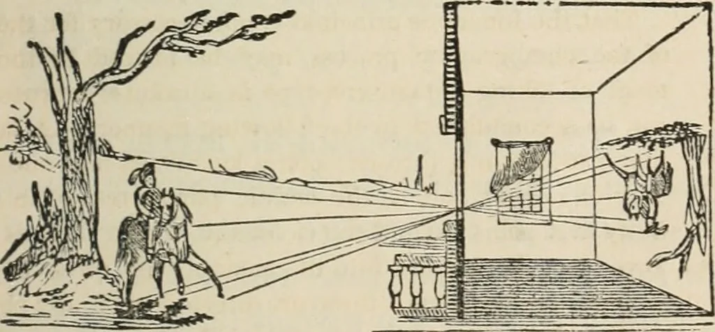An illustration from Well's natural philosophy : for the use of schools, academies and privte students, introducing the latest results of scientific discovery and research ; arranged with special reference to the practical application of physical science to the arts and the experiences of everyday life ; with three hundred and seventy-five engravings, 1873, leaf 352