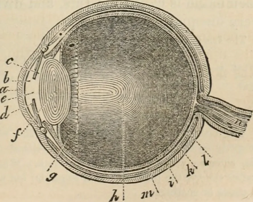 An illustration from Well's natural philosophy : for the use of schools, academies and privte students, introducing the latest results of scientific discovery and research ; arranged with special reference to the practical application of physical science to the arts and the experiences of everyday life ; with three hundred and seventy-five engravings, 1873, leaf 354