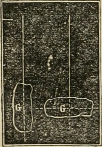 An illustration from Well's natural philosophy : for the use of schools, academies and privte students, introducing the latest results of scientific discovery and research ; arranged with special reference to the practical application of physical science to the arts and the experiences of everyday life ; with three hundred and seventy-five engravings, 1873, leaf 53