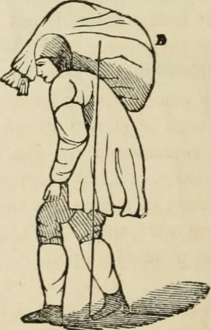 An illustration from Well's natural philosophy : for the use of schools, academies and privte students, introducing the latest results of scientific discovery and research ; arranged with special reference to the practical application of physical science to the arts and the experiences of everyday life ; with three hundred and seventy-five engravings, 1873, leaf 55