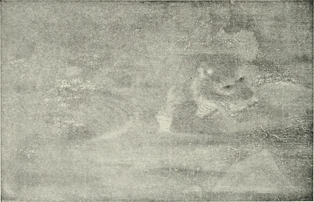 An illustration from Weltanschauungsprobleme und Lebenssysteme in der Kunst der Vergangenheit, 1918, leaf 97