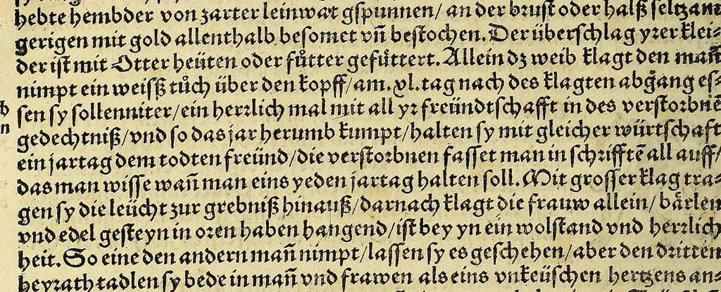 An illustration from Weltbuch : Spiegel vnd Bildtniss des gantzen Erdtbodens, 1534, leaf 124