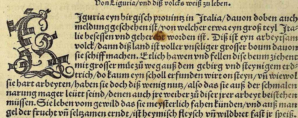 An illustration from Weltbuch : Spiegel vnd Bildtniss des gantzen Erdtbodens, 1534, leaf 160
