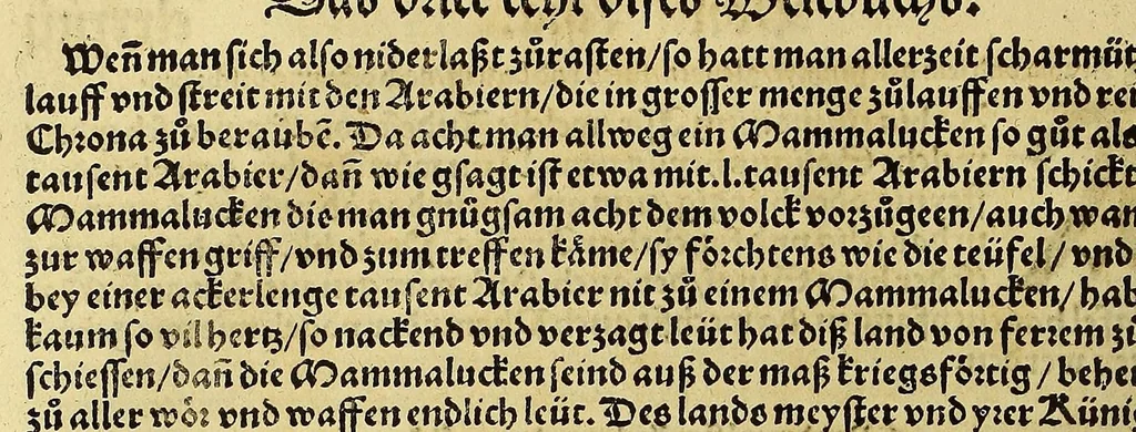 An illustration from Weltbuch : Spiegel vnd Bildtniss des gantzen Erdtbodens, 1534, leaf 372