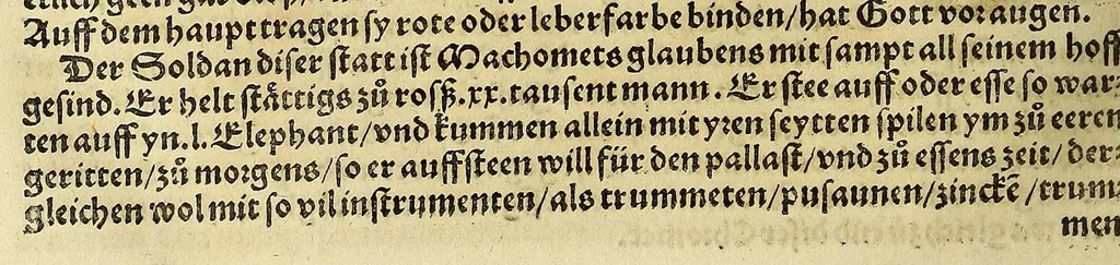 An illustration from Weltbuch : Spiegel vnd Bildtniss des gantzen Erdtbodens, 1534, leaf 394
