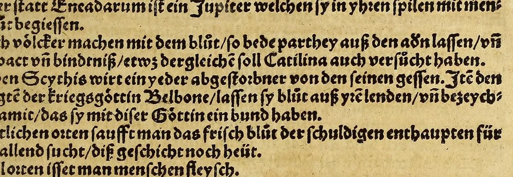 An illustration from Weltbuch : Spiegel vnd Bildtniss des gantzen Erdtbodens, 1534, leaf 477