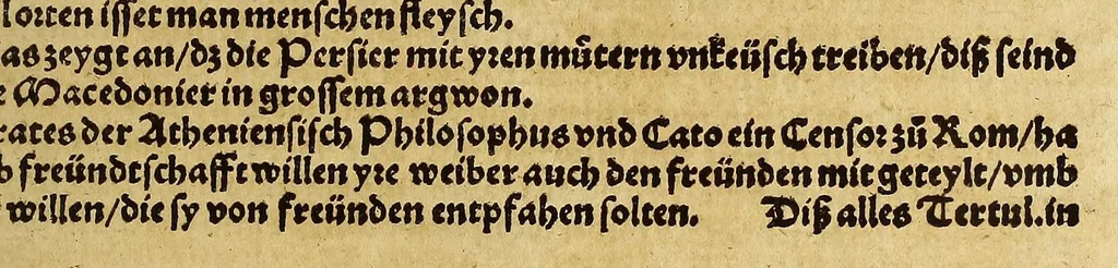 An illustration from Weltbuch : Spiegel vnd Bildtniss des gantzen Erdtbodens, 1534, leaf 477