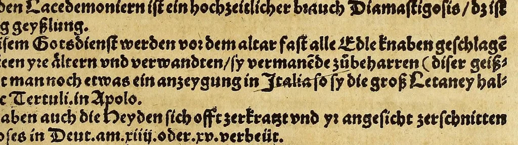 An illustration from Weltbuch : Spiegel vnd Bildtniss des gantzen Erdtbodens, 1534, leaf 477