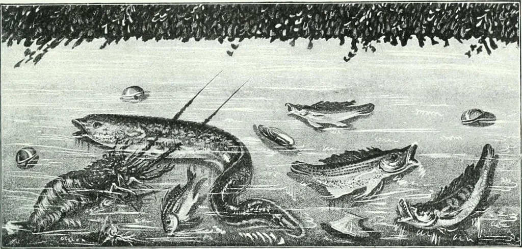 An illustration from Weltgeschichte der Kunst bis zur Erbauung der Sophienkirche, 1888, leaf 298