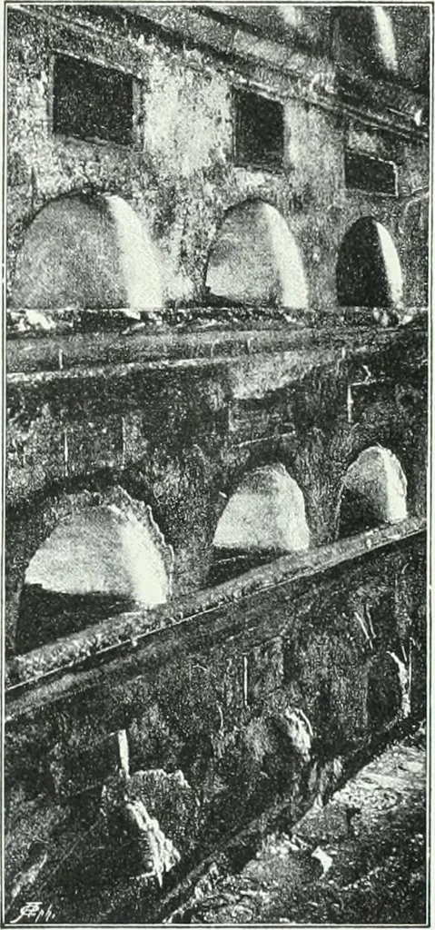 An illustration from Weltgeschichte der Kunst bis zur Erbauung der Sophienkirche, 1888, leaf 408