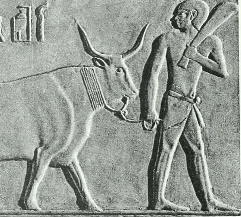 An illustration from Weltgeschichte der Kunst bis zur Erbauung der Sophienkirche, 1888, leaf 48