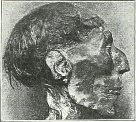 An illustration from Weltgeschichte der Kunst bis zur Erbauung der Sophienkirche, 1888, leaf 56