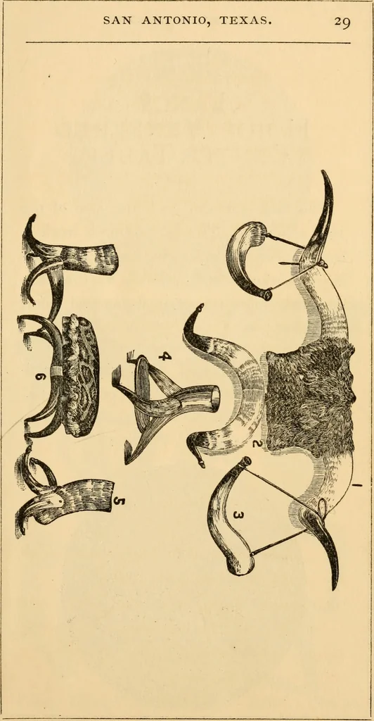 An illustration from Wenzel Friedrich, manufacturer of horn furniture., 1890, leaf 32