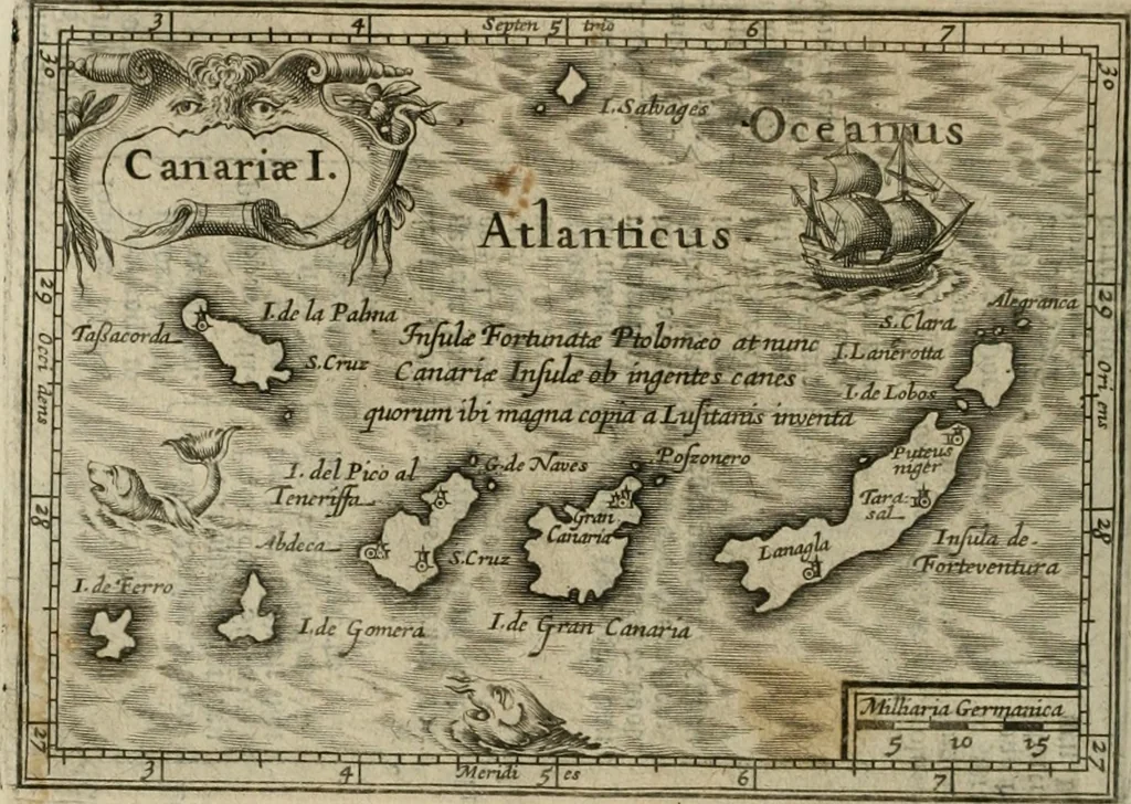 An illustration from Wereld spiegel waer in vertoontword de beschrÿvinge der kÿken staten ..., 1621, leaf 201