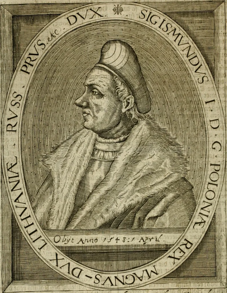 An illustration from Wereld spiegel waer in vertoontword de beschrÿvinge der kÿken staten ..., 1621, leaf 431