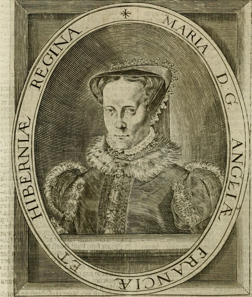 An illustration from Wereld spiegel waer in vertoontword de beschrÿvinge der kÿken staten ..., 1621, leaf 75